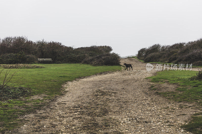 七姐妹国家公园，Cuckmere Haven，东苏塞克斯，英国